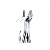 Extracting Forceps American Pattern
